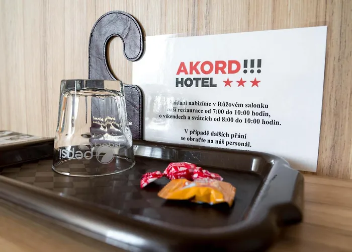 Mini Hotel Akord